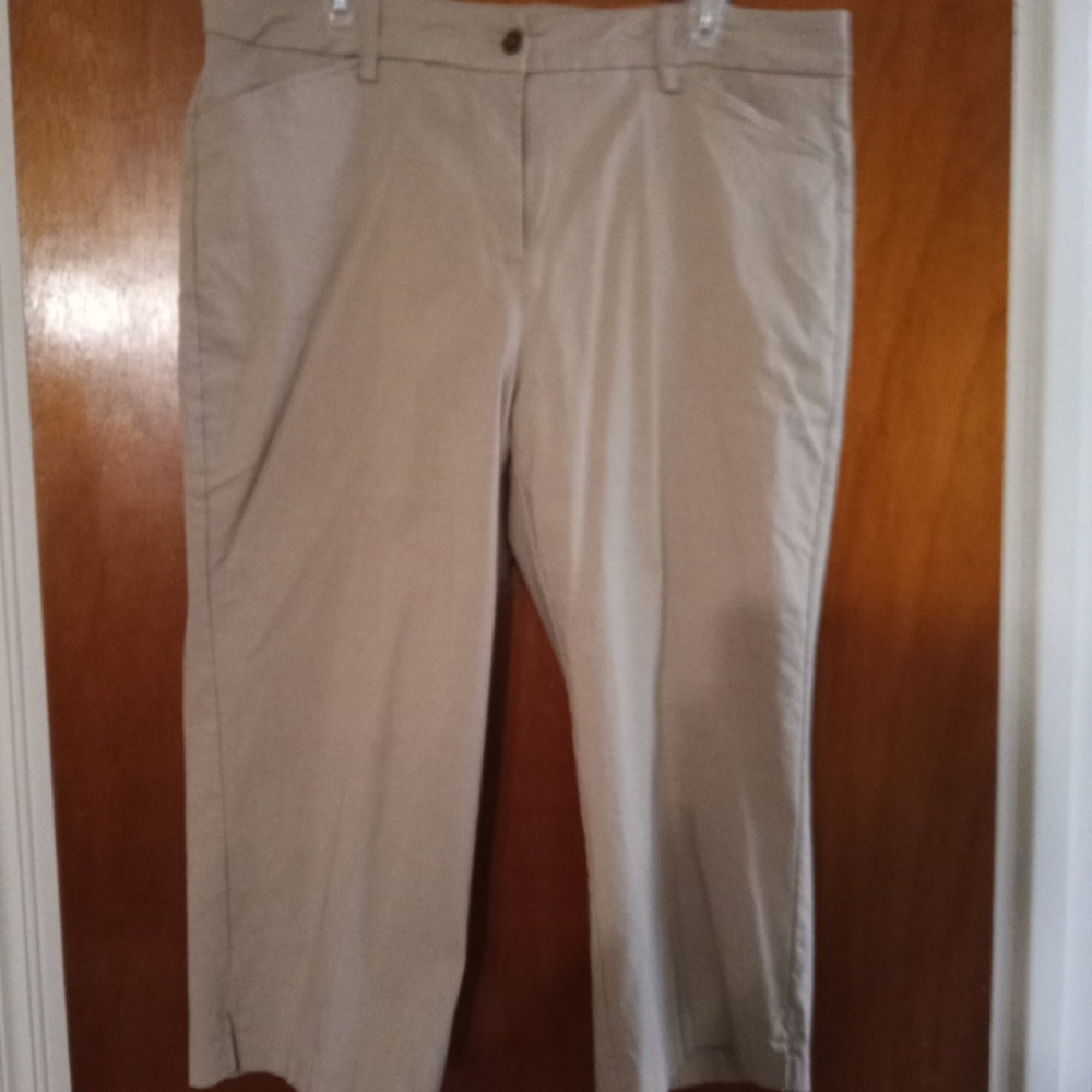 Plus Capri pants